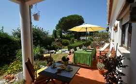 Happy Cat House - Holiday Rental